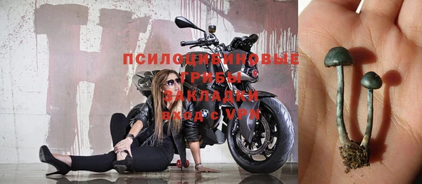 mix Рославль